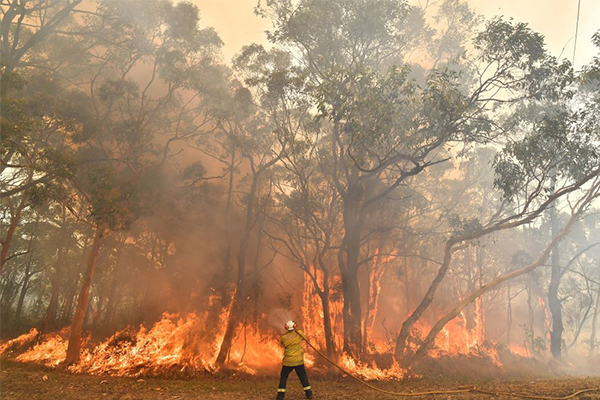 Dishonest Aussies rorting disaster relief payments meant for bushfire victims