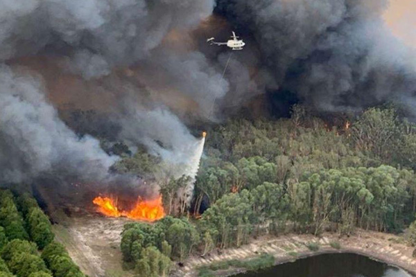 Article image for Mark Latham says fuel loads need to be reduced to prevent bushfires