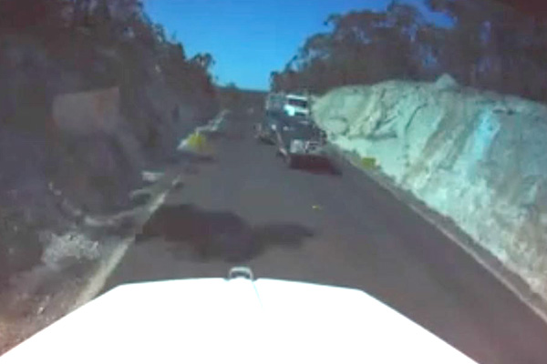 Article image for WATCH | Dashcam shows scary close call on our country roads