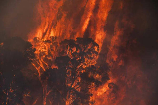 Article image for ‘It’s like hell’: Eight dangerous fires burn across NSW on New Year’s Eve