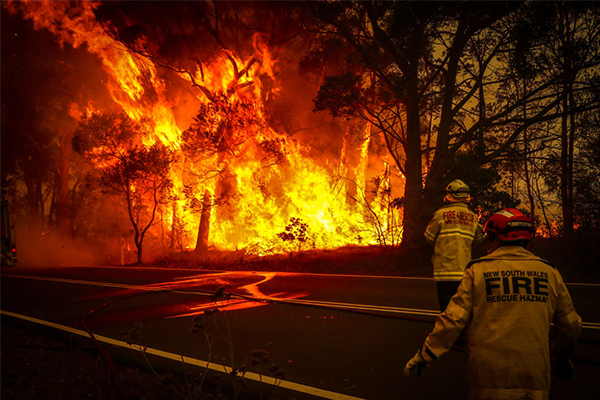 Father and son confirmed dead in NSW bushfires