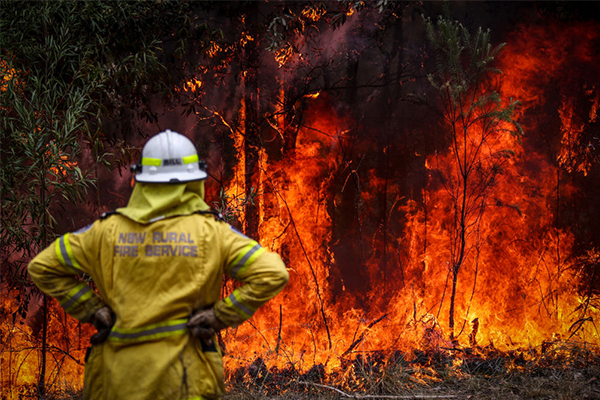 Article image for ‘We are the world leader’: Government refutes claims bushfire response is inadequate