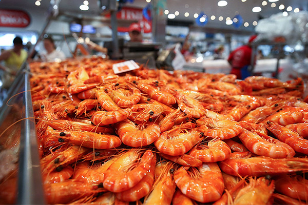 Article image for Prawn prices skyrocket this Christmas amid crippling drought