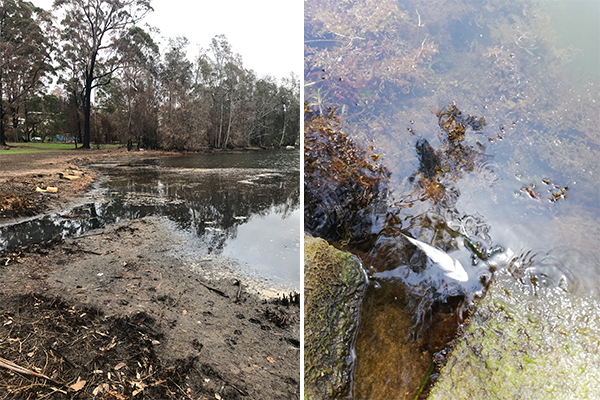 PHOTOS | Listeners reveal the disgusting state of once-thriving Lake Conjola