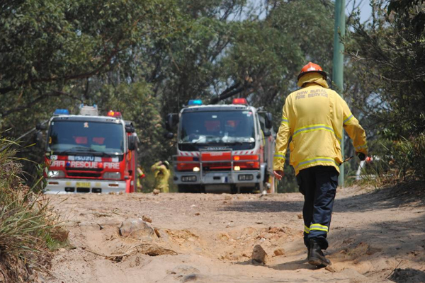 Man caught allegedly trying to start bushfire on the NSW South Coast