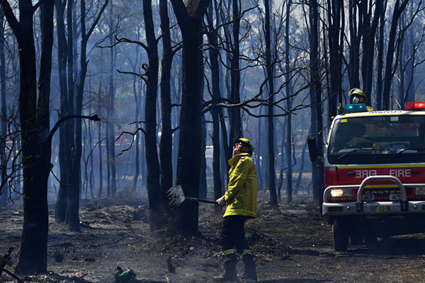 Article image for Repairs underway for over 170 NSW schools impacted by bushfires