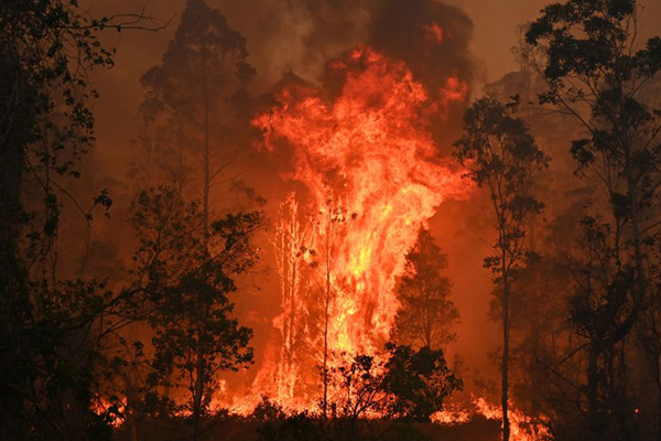 Article image for ‘Today is all about saving lives’: NSW braces for extreme fire conditions