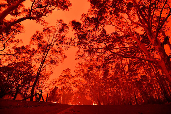 Article image for Police Commissioner warns those who accidentally start fires will be charged with bushfire deaths