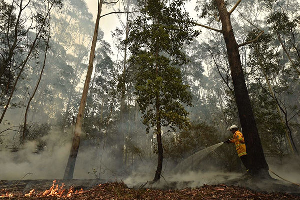 Article image for Property and lives at risk as NSW braces for extreme fire danger