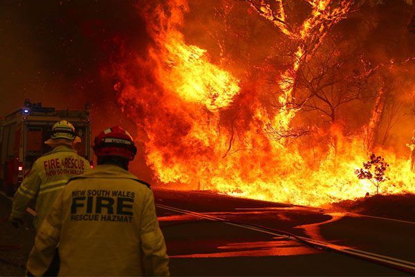 Article image for The ‘cracking idea’ to celebrate NSW firefighters