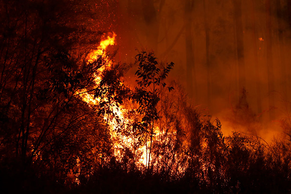 Article image for ‘This is our home!’: Rural resident fears his town has been forgotten as bushfire threat looms