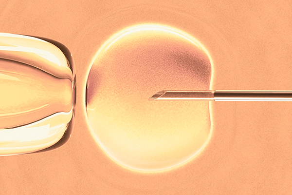 Article image for IVF costs slashed in NSW