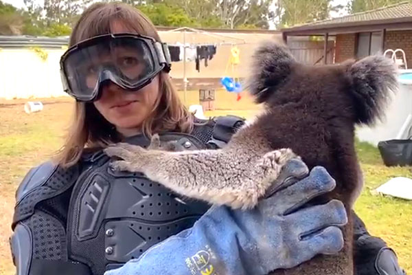 Article image for WATCH | UK reporter pranked with ‘vicious’ koala