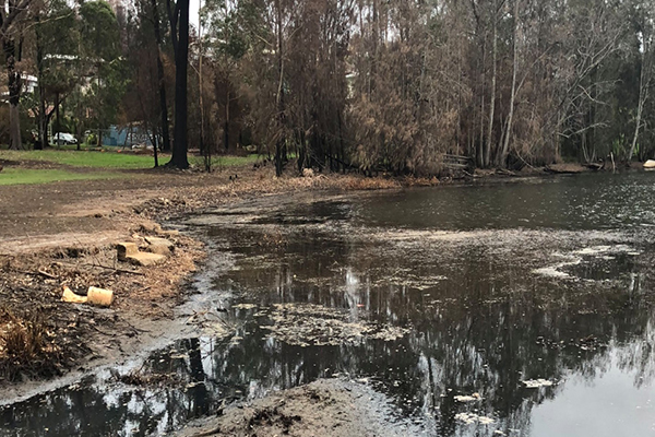 Article image for The solution to cleaning up ‘disgusting’ Lake Conjola