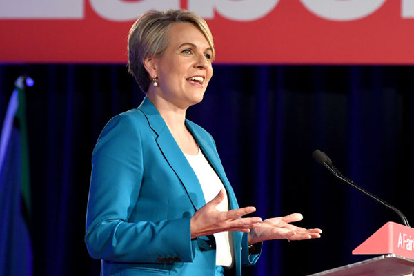 Article image for Tanya Plibersek defends idea to have school kids learn patriotic pledge