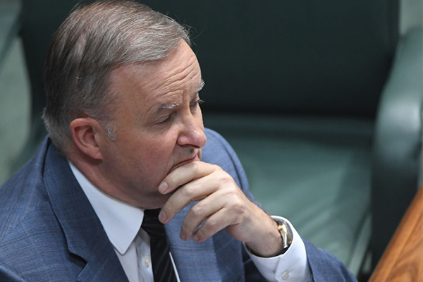 Article image for ‘Pure madness’: ABC show inspires Anthony Albanese’s aged care plan