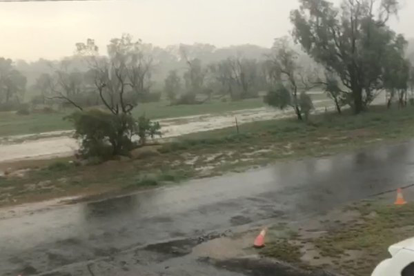 WATCH: Locals overjoyed by Roma rainfall