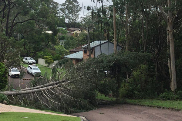 Article image for Ausgrid admits to cost cutting as 50,000 customers still without power after storms
