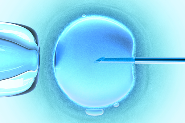 Advice for IVF parents who ‘don’t have the heart to let go’ of embryos