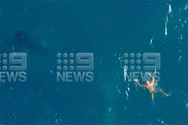 Ben Fordham clashes with Minister over Aussie hero who saved a young whale