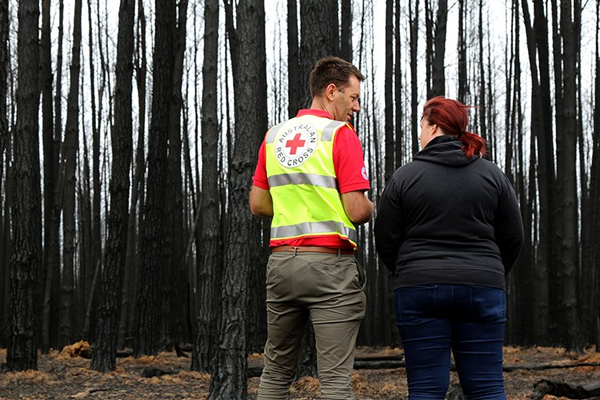 ‘Unacceptable’: Red Cross still withholding over $100 million in bushfire donations