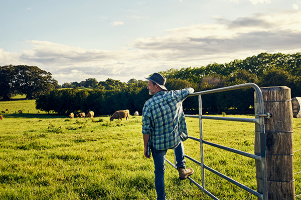 Hope for farmers as only three per cent of NSW remains in drought