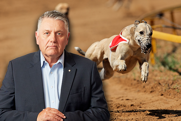 Article image for Ray Hadley reveals latest ‘bizarre’ plan to shut down greyhound racing
