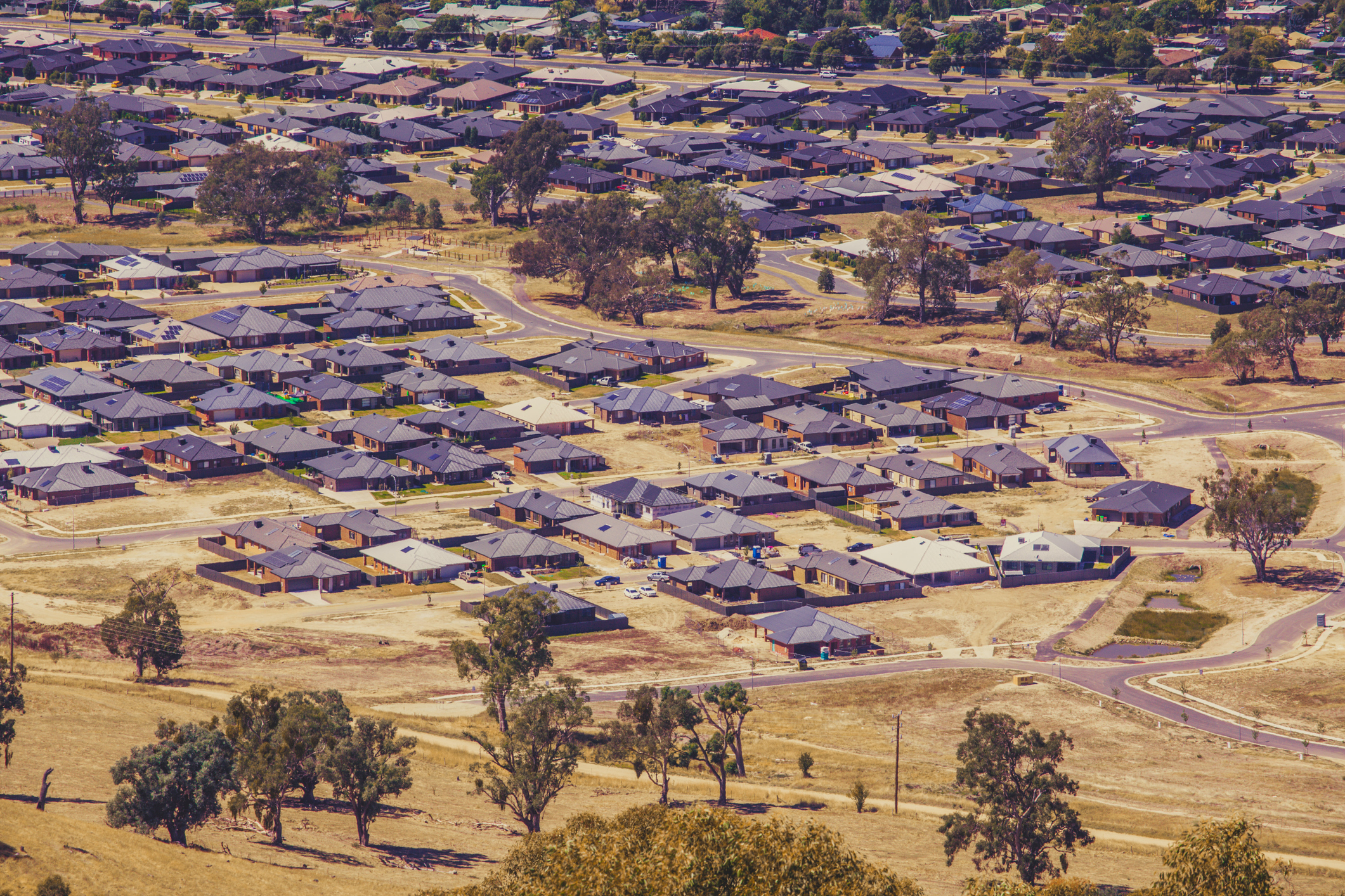 Article image for Border communities begging for clarity from Service NSW amid permit ‘nightmare’