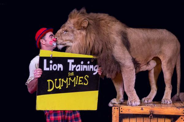 Circus owners defend themselves against ‘extremist animal groups’
