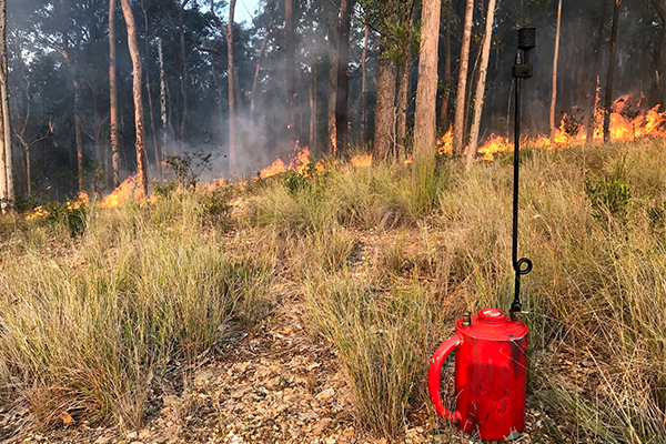 Article image for Landowners to be required to do hazard-reduction burns on their properties