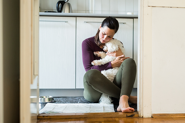 The disturbing link between domestic violence and the family pet