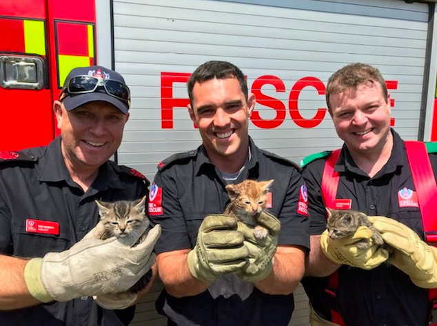 Article image for Regional firefighters’ pawsitively fur-raising rescue