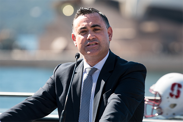Liberal MP demands John Barilaro resign amid koala feud