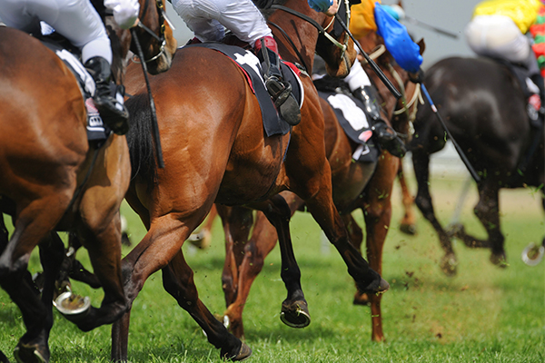 Article image for Australia’s richest race to kick off in front of 11,000 people