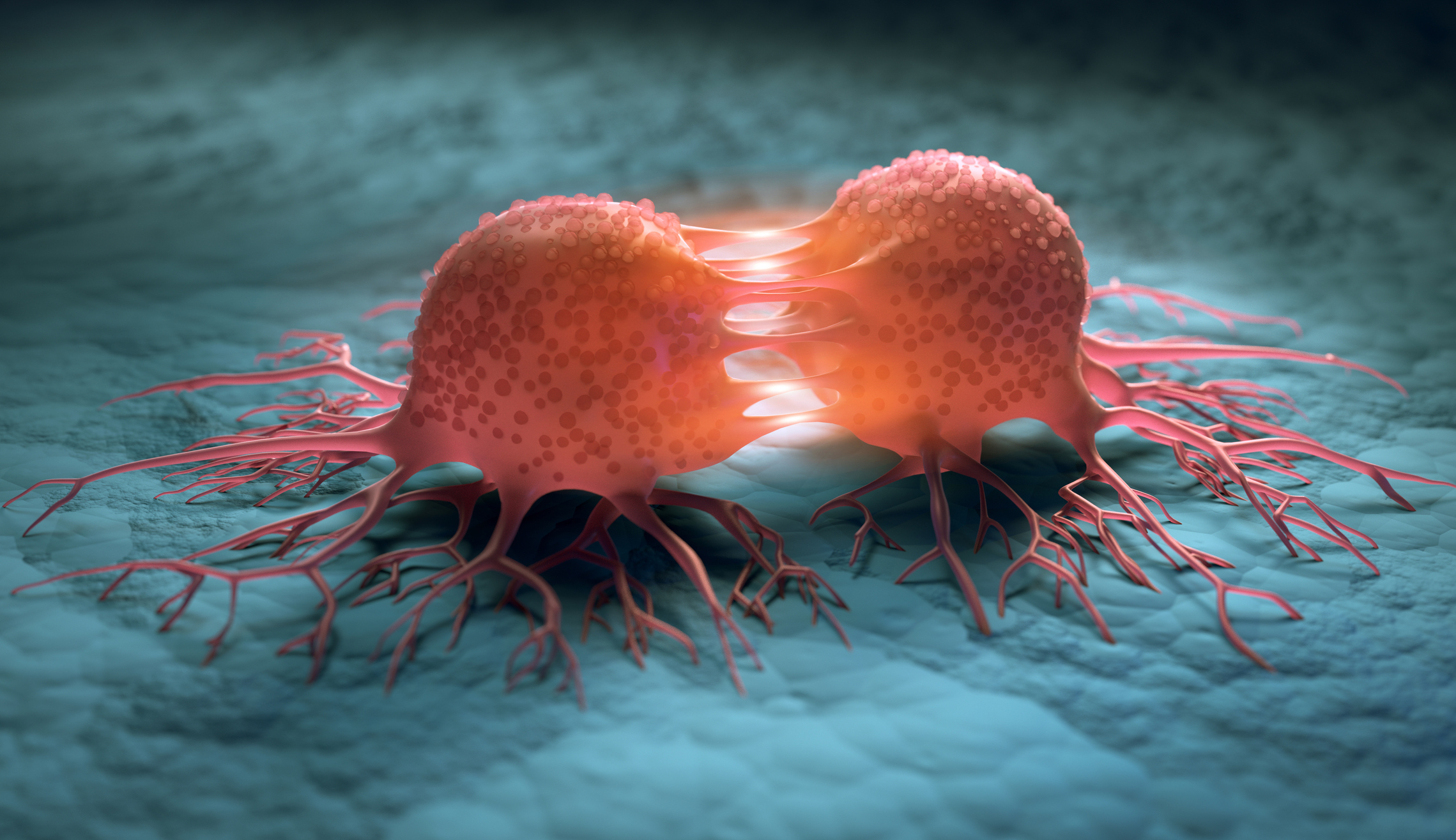 Ovarian and prostate cancer developments give ‘hope for the future’