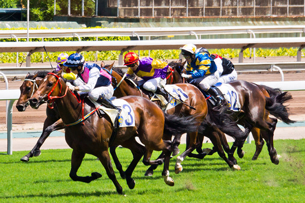 Thrash it out: Should horse racing be banned?