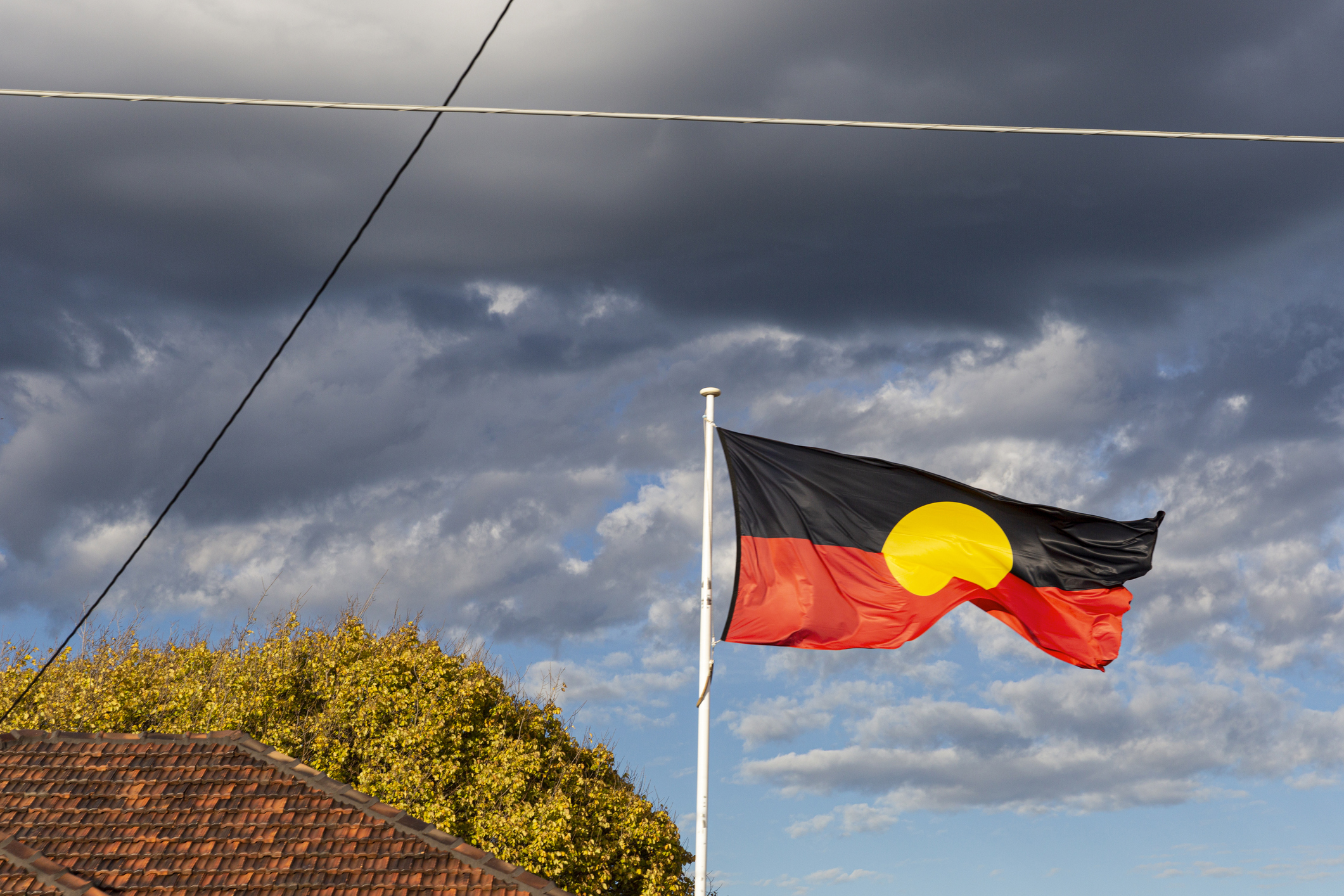 Article image for Government votes down hanging Aboriginal and Torres Strait Islander flags in parliament