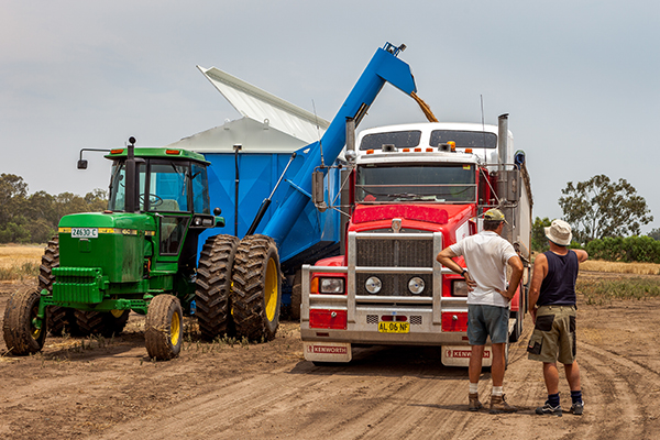 Article image for Safety concerns over grain trucks carrying this year’s bumper harvest