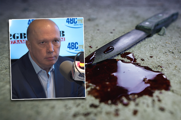 Peter Dutton hits out at ‘hand-wringers’ sugarcoating youth gang violence