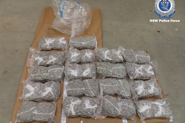 Article image for Indian national charged after $3 million worth of cannabis seized in NSW