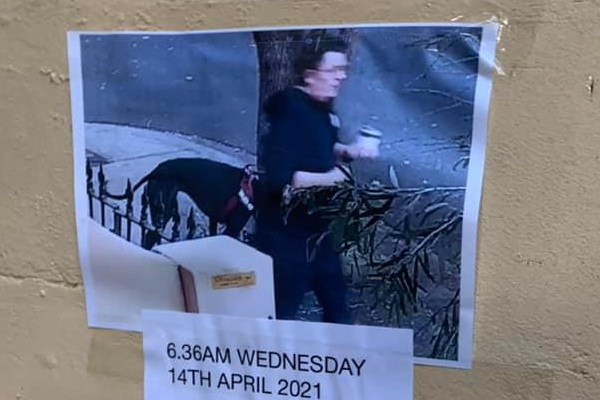 North Sydney community on the scent of a prolific ‘bandit’