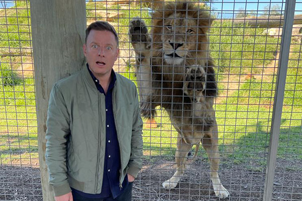 Article image for WATCH | Ben Fordham comes face-to-face with lion at Sydney Zoo