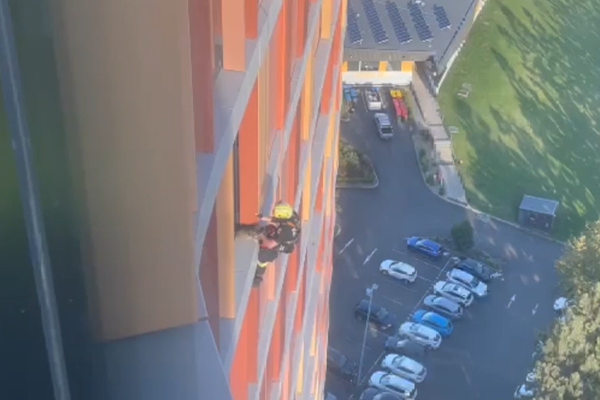 WATCH | Firies let the cat into the bag in high stakes high-rise rescue