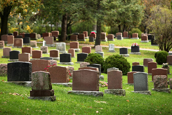 Article image for The ‘outrageous’ fee a NSW cemetery is trying to charge a grieving family