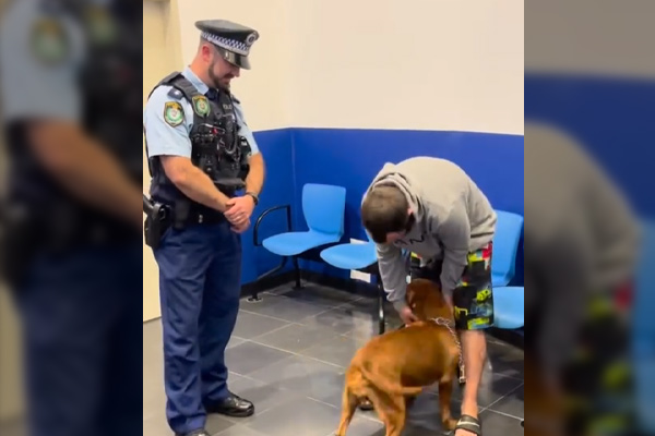 Sydney CBD dognapping victim reunited with owner