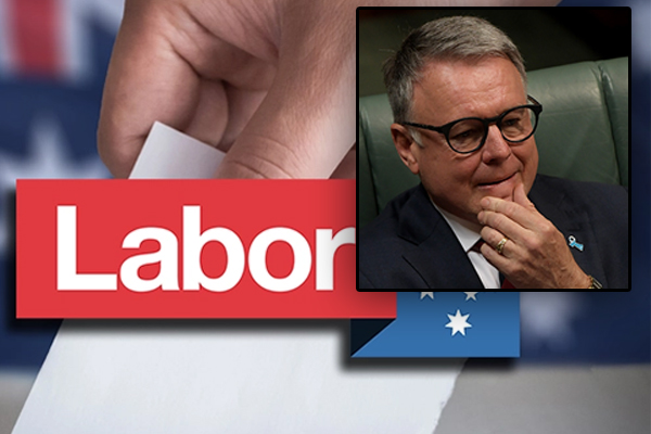 Joel Fitzgibbon says ‘Labor brand is in trouble’ after byelection result