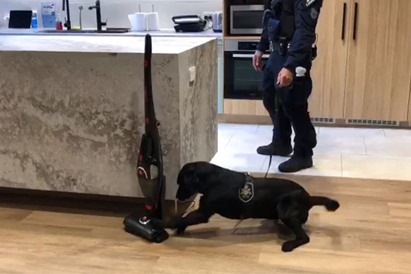 The tech dogs helping sniff out dangerous criminals