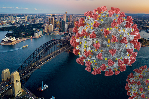 Article image for Harvard Professor explains why Sydney could end its lockdown now