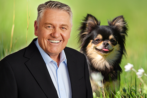Article image for Ray Hadley executes dastardly plot against a chihuahua