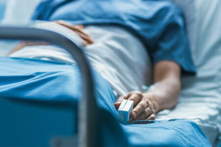 Why cardiologists fear QLD heart patients could flee to NSW